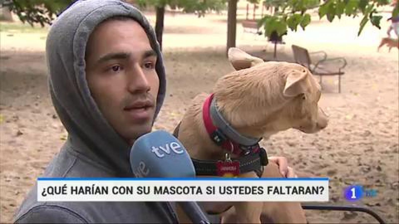 ¿Qué harían con su mascota si ustedes faltaran? - RTVE.es