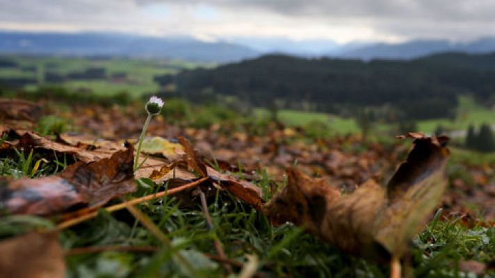 Cielos muy nubosos con lluvias y chubascos en la mayor parte de la Península