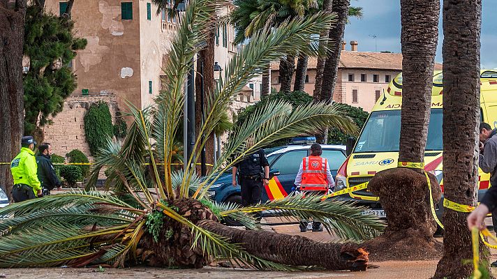 Telediario 1 - La borrasca Amelie deja una víctima mortal y muchos daños
