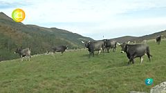 Turismo Rural, Carmona