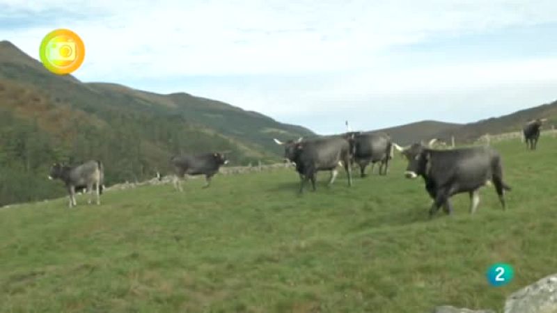 Turismo Rural, Carmona