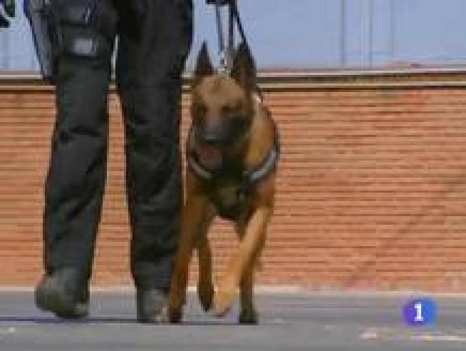 Noticias Castilla-La Mancha. Informativo de Castilla-La Mancha. (13/07/09)