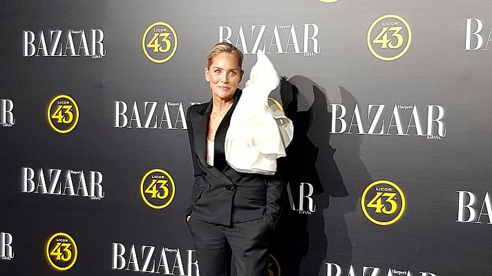 Sharon Stone recoge un premio por ser un "icono" global