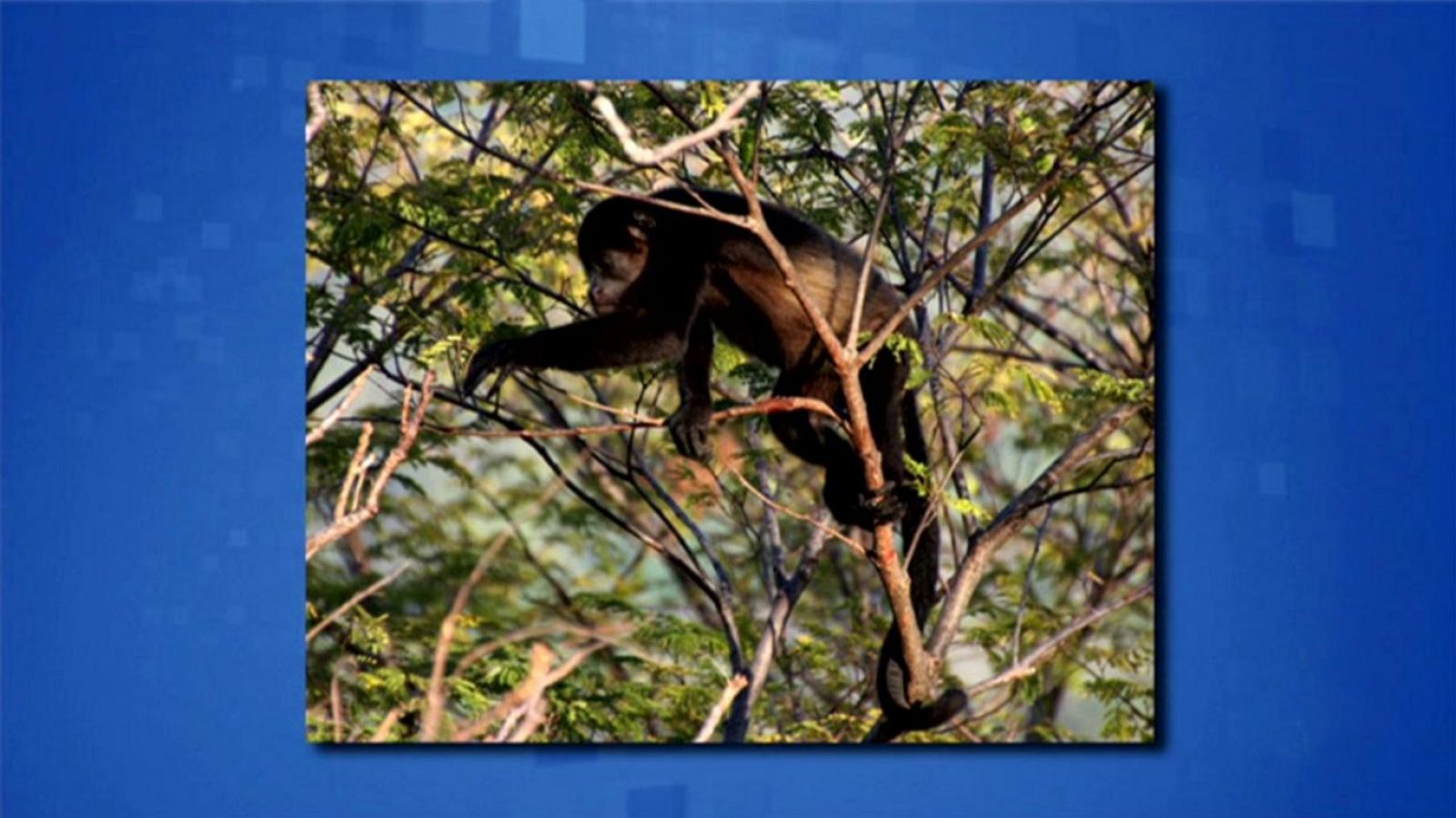 Saber y ganar - 06/11/19 - ver ahora