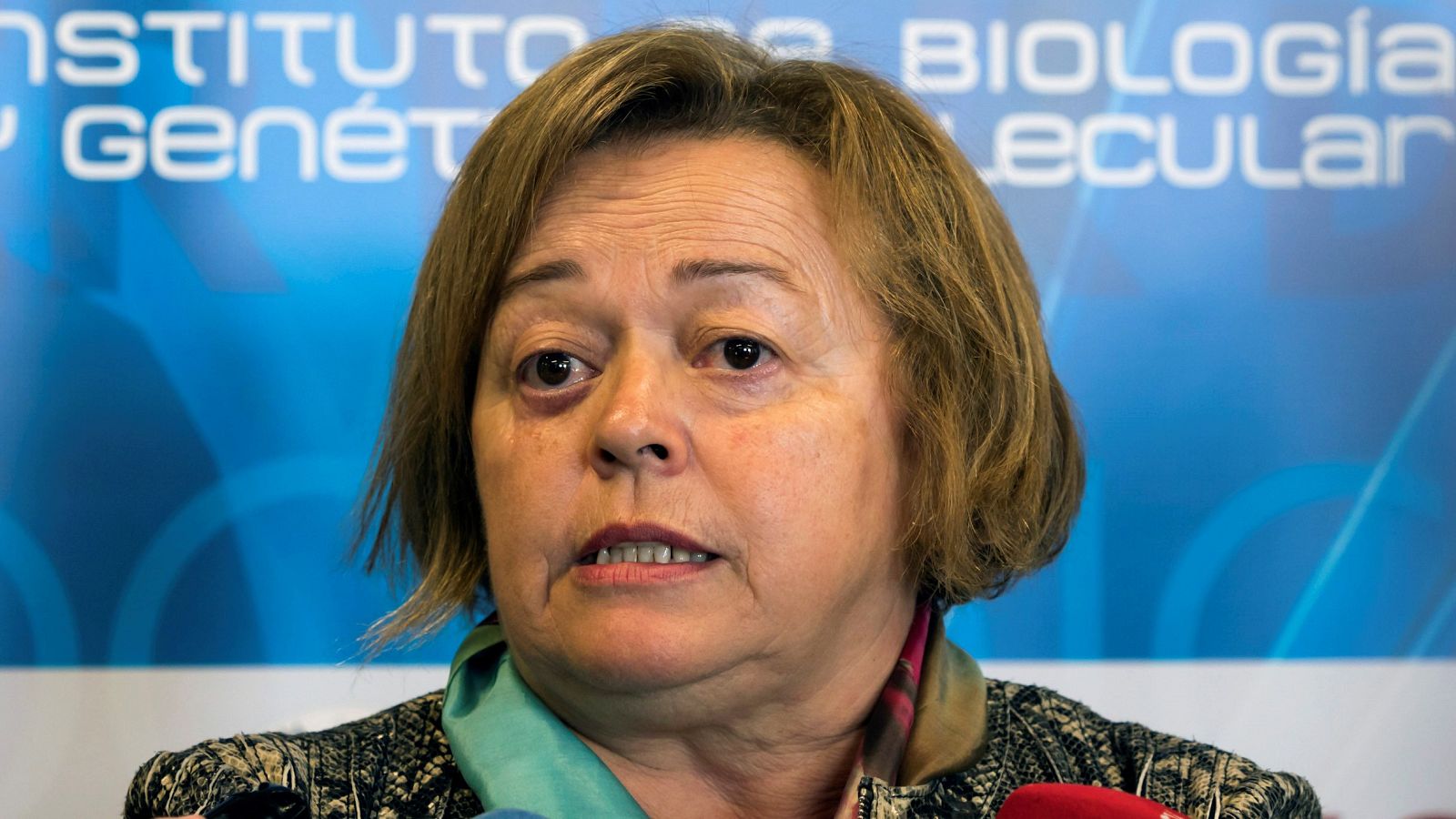 La presidenta del Centro Superior de Investigaciones Científicas (CSIC), Rosa Menéndez, ha expresado al Canal 24 Horas su gran tristeza por la muerte de la científica Margarita Salas, y ha asegurado que "es un referente para todos", y su figura "no s