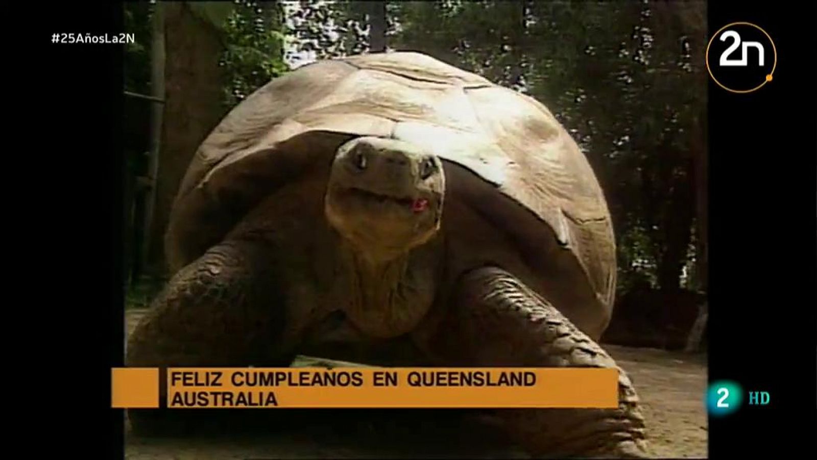 Los animales de la 2 Noticias | 25 Aniversario La 2 Noticias