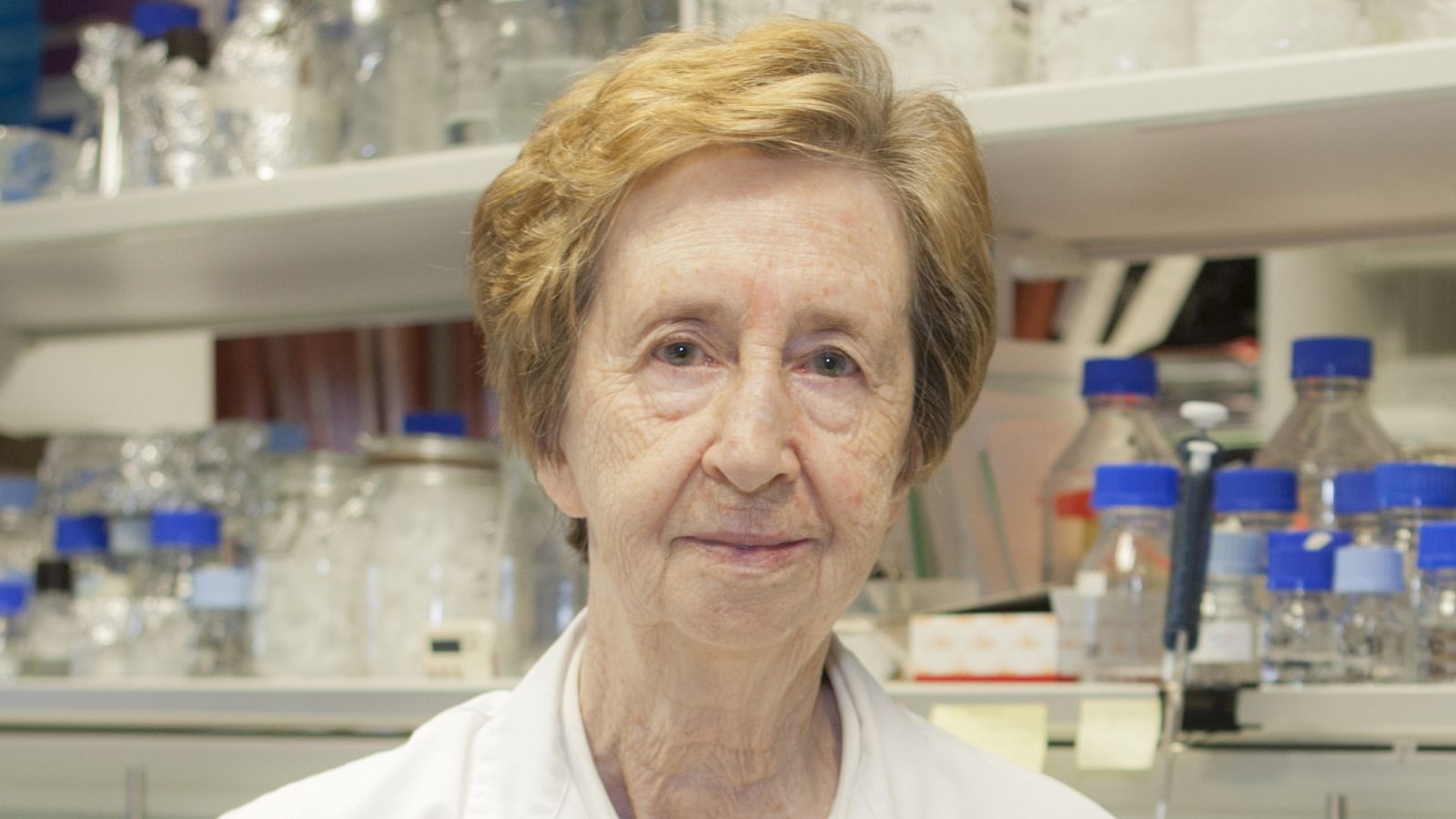 La hora Cervantes - 07/11/19 - ver ahora