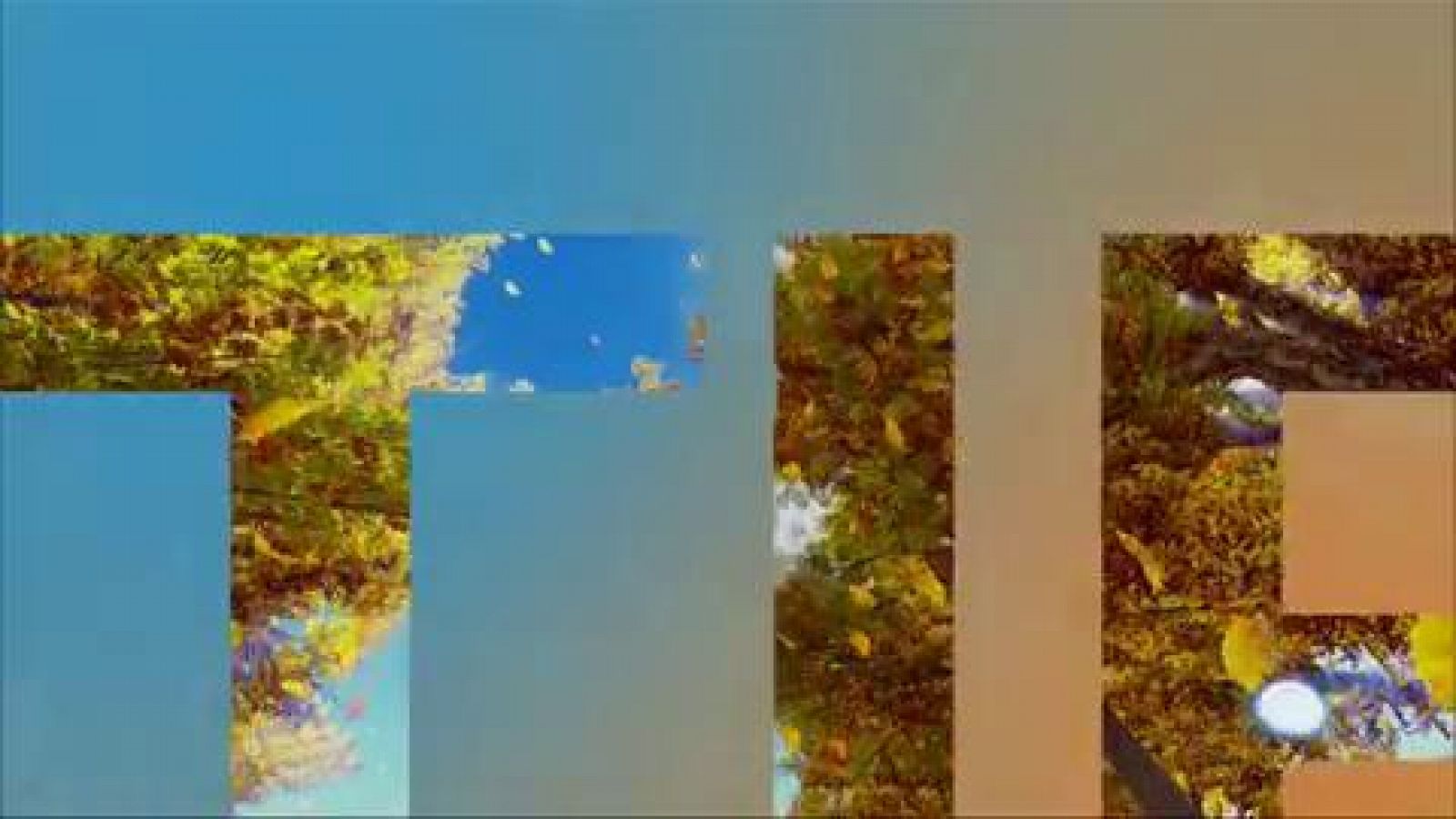 Nevadas significativas en los sistemas montañosos del norte peninsular - Ver ahora