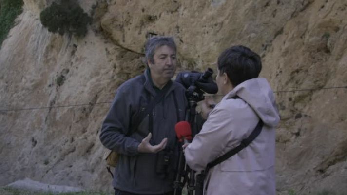Abrazar a los árboles nos llena de energía
