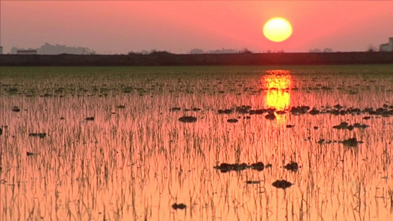 Agrosfera - 09/11/19 - RTVE.es