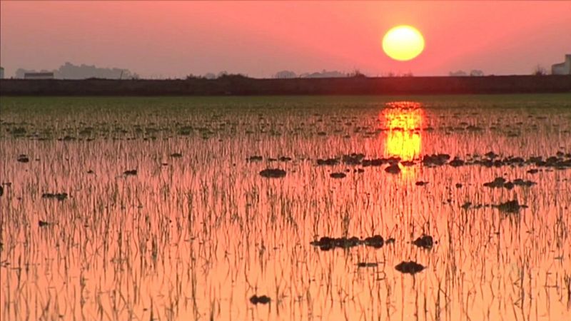 Agrosfera - 09/11/19 - ver ahora