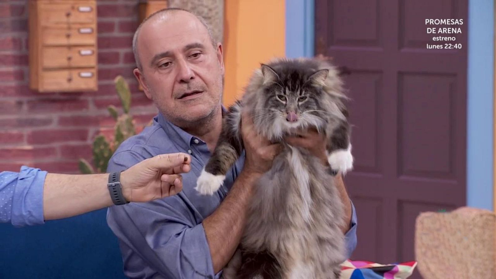 +Cotas - Programa 19 - ver ahora