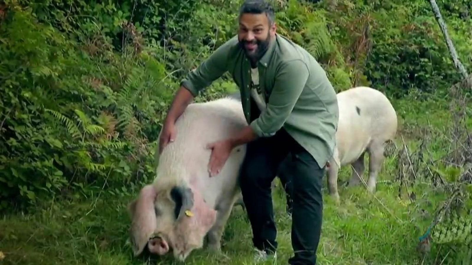 Las rutas d'Ambrosio - Galicia, de la dulce a la salada - ver ahora