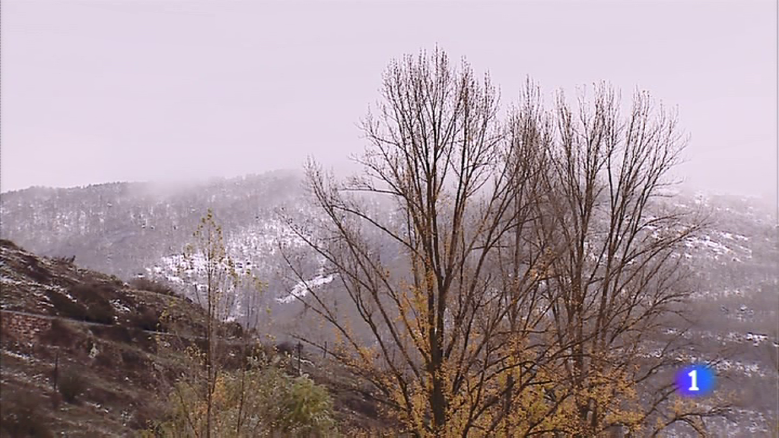 Informativo Telerioja - 11/11/19