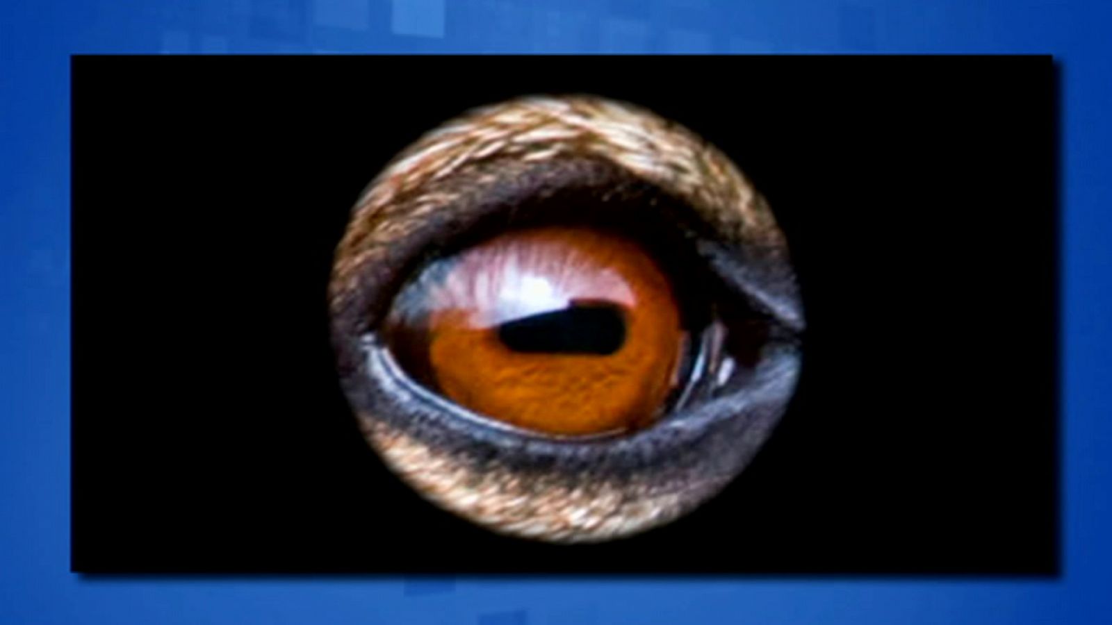 Saber y ganar - 11/11/19 - ver ahora