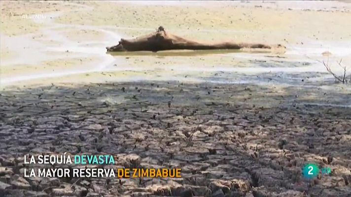 La hambruna devasta la mayor reserva de Zimbabue