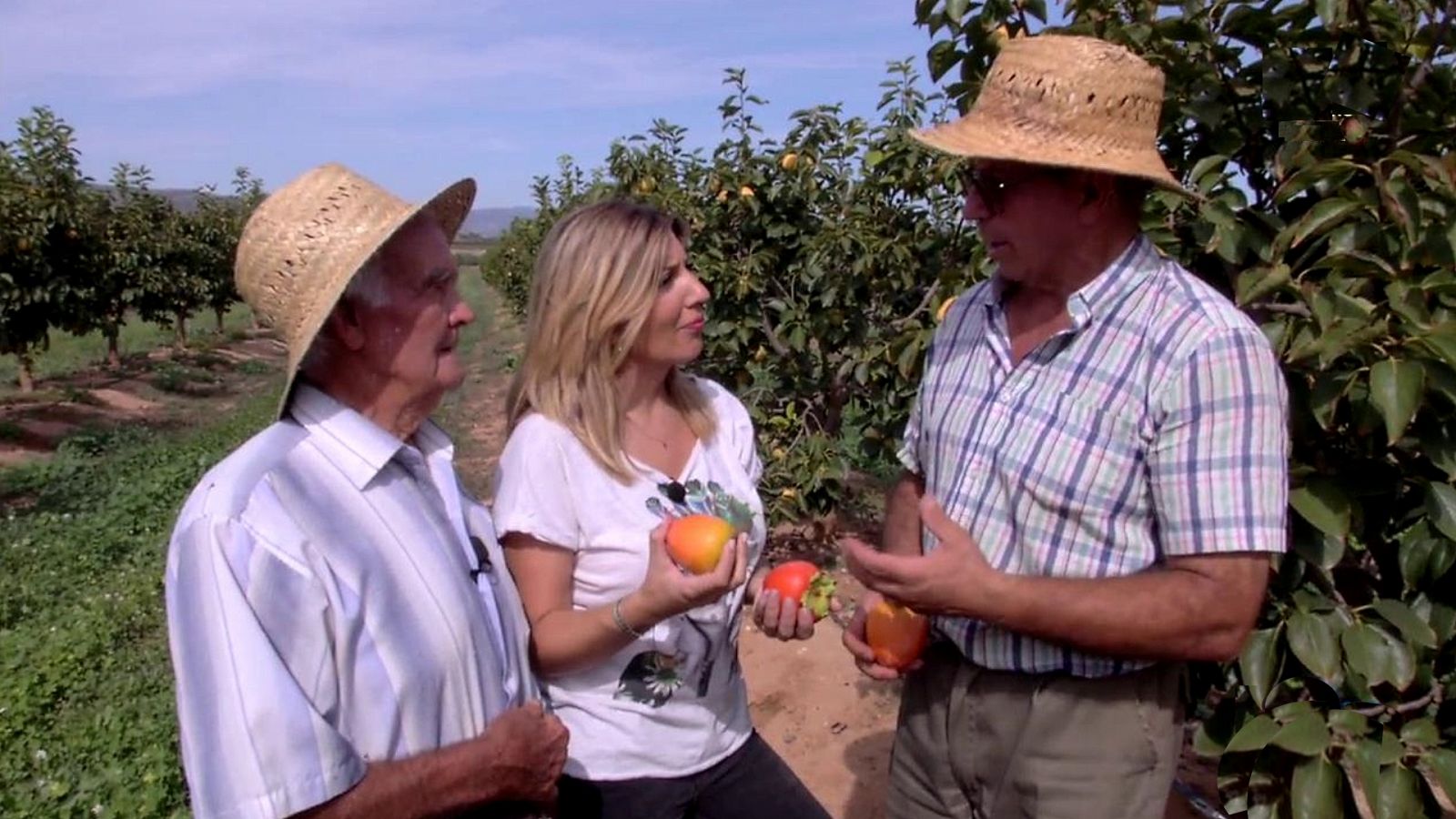 Aquí la Tierra - 11/11/19 - RTVE.es