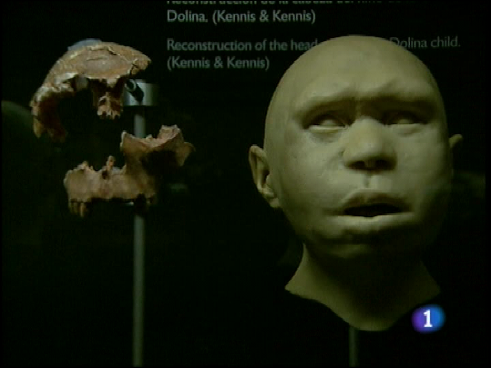  El cráneo número 5, considerado el  fósil más completo y relevante para el relato de la evolución humana, es uno de los tesoros de la prehistoria que se muestran este verano en Gijón, en la exposicón "Atapuerca y la Evolución Humana" que tiene a Juan Luis Arsuaga como Comisario. Asturias ha recibido con alivio el anuncio de la multinacional Arcelor Mittal de reabrir en septiembre el horno alto que cerró en mayo por falta de pedidos. El impulso del sector del automóvil es una de las razones de la bajada de los stocks de acero que justifica la actividad de las factorías de Mittal en Asturias.           