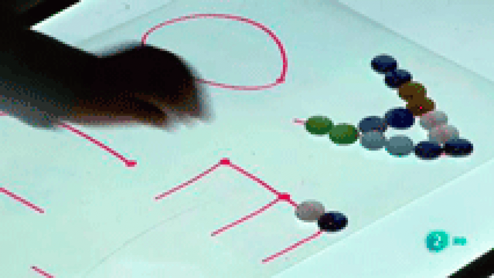 La aventura del saber Comunidad de Madrid Centro Rural Agrupado Los olivos