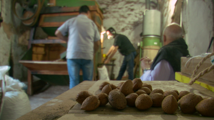 Aquí la Tierra - Pelando almendras con trencadora