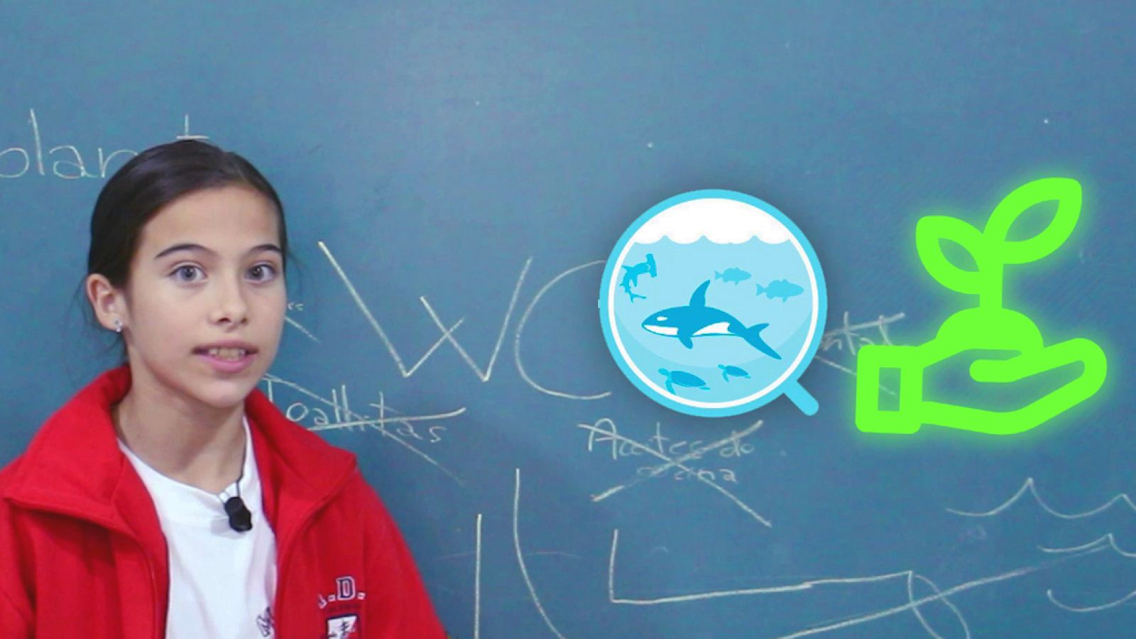 Eurovisión Junior 2019 - Melani Consejo 4: Proteger los océanos