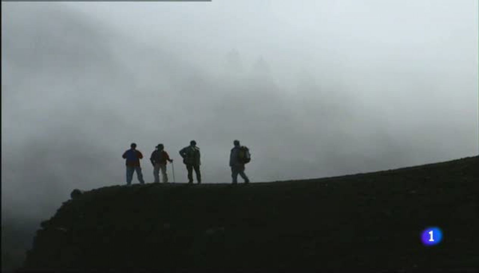 Aulaga - Ruta de los Volcanes - La Palma