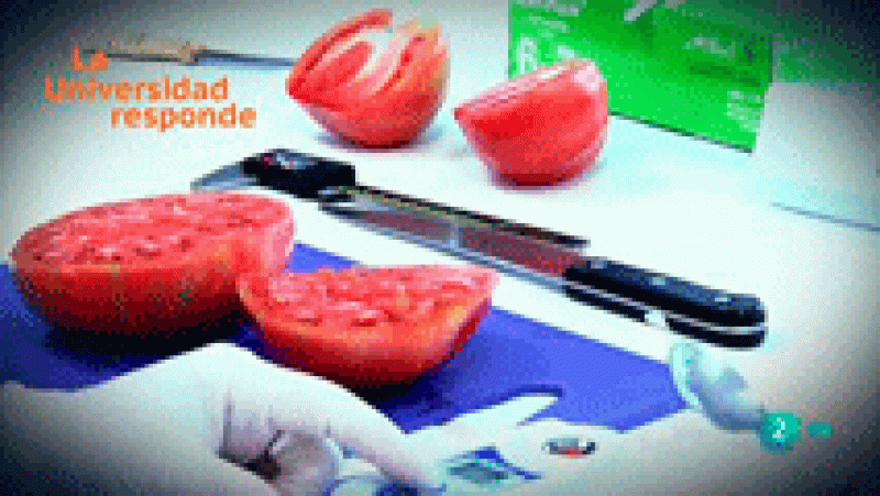 La aventura del saber ¿Qué propiedades tiene el tomate rosa de Barbastro? Universidad de Zaragoza. La Universidad Responde.