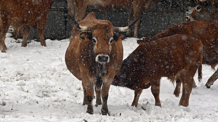 Telediario 1 - Telediario 1 en 4' - 14/11/19