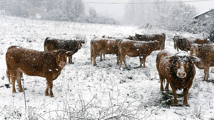Aquí la Tierra - Aquí la Tierra - 14/11/19