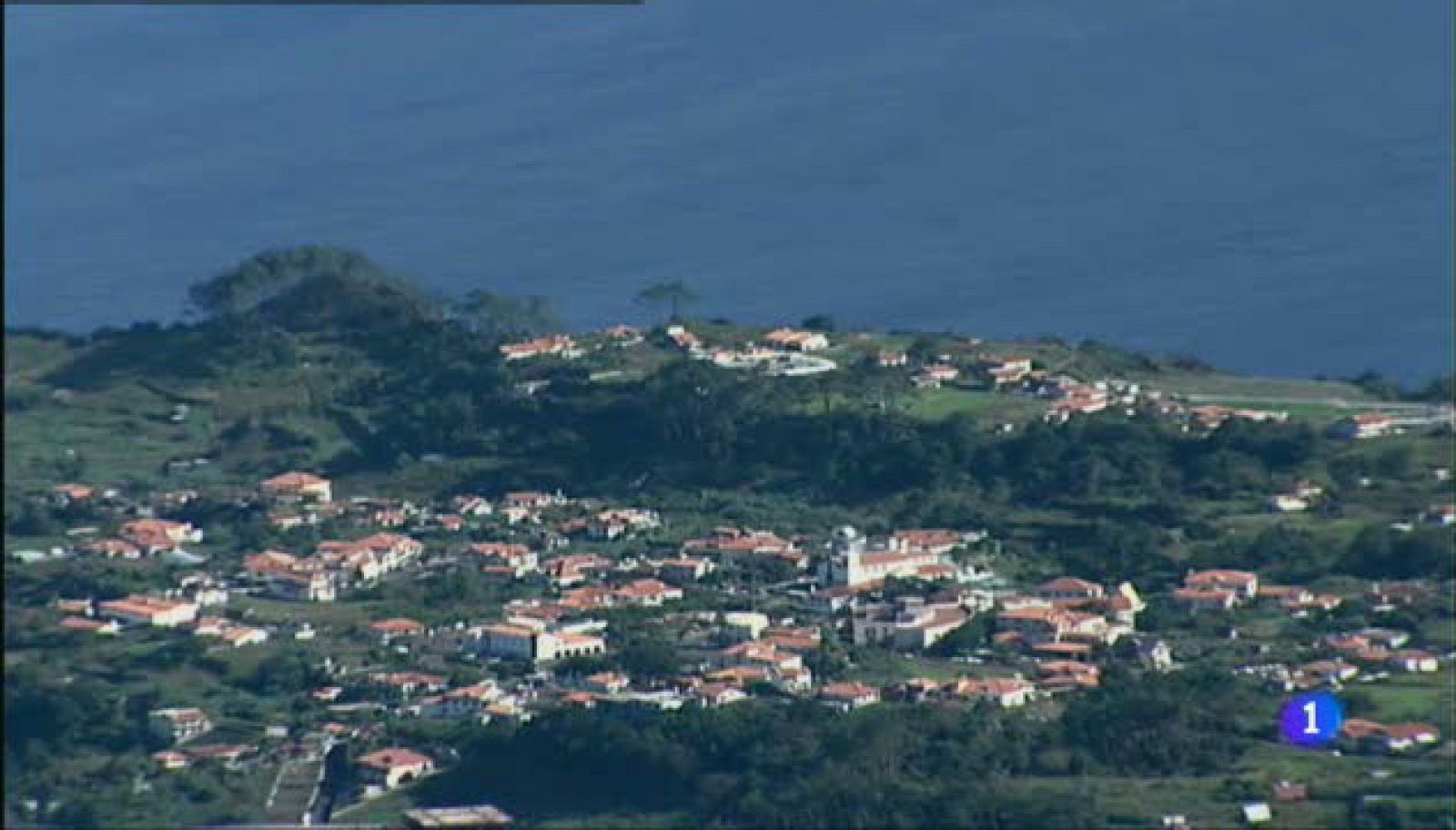 Aulaga - Vereda da Ilha - Funchal - Madeira