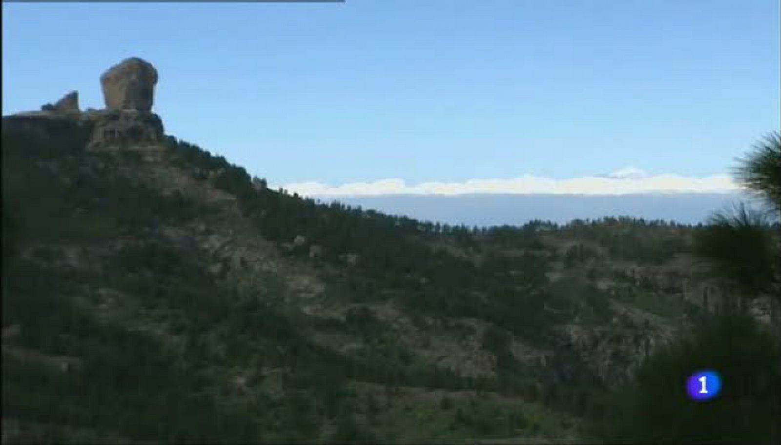 Aulaga - Encrucijada del Nublo - Gran Canaria