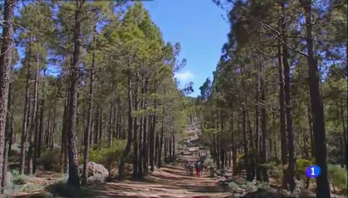 Ruta de la Plata - Gran Canaria