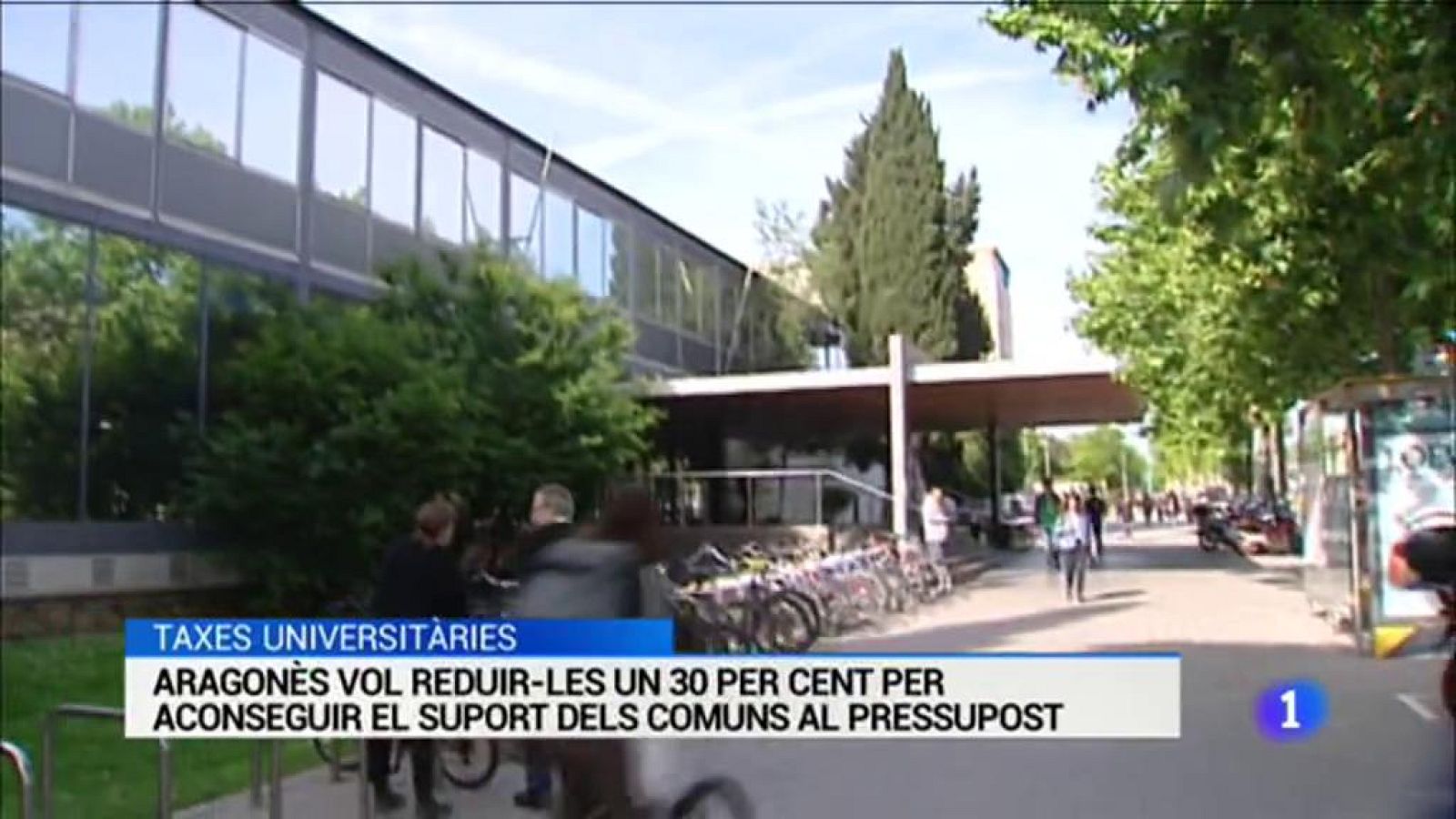 L'Informatiu - 15/11/2019