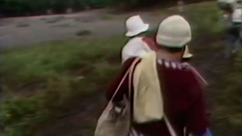 Más de 300 familias buscan a sus hijos 34 años después de la tragedia del Nevado del Ruiz