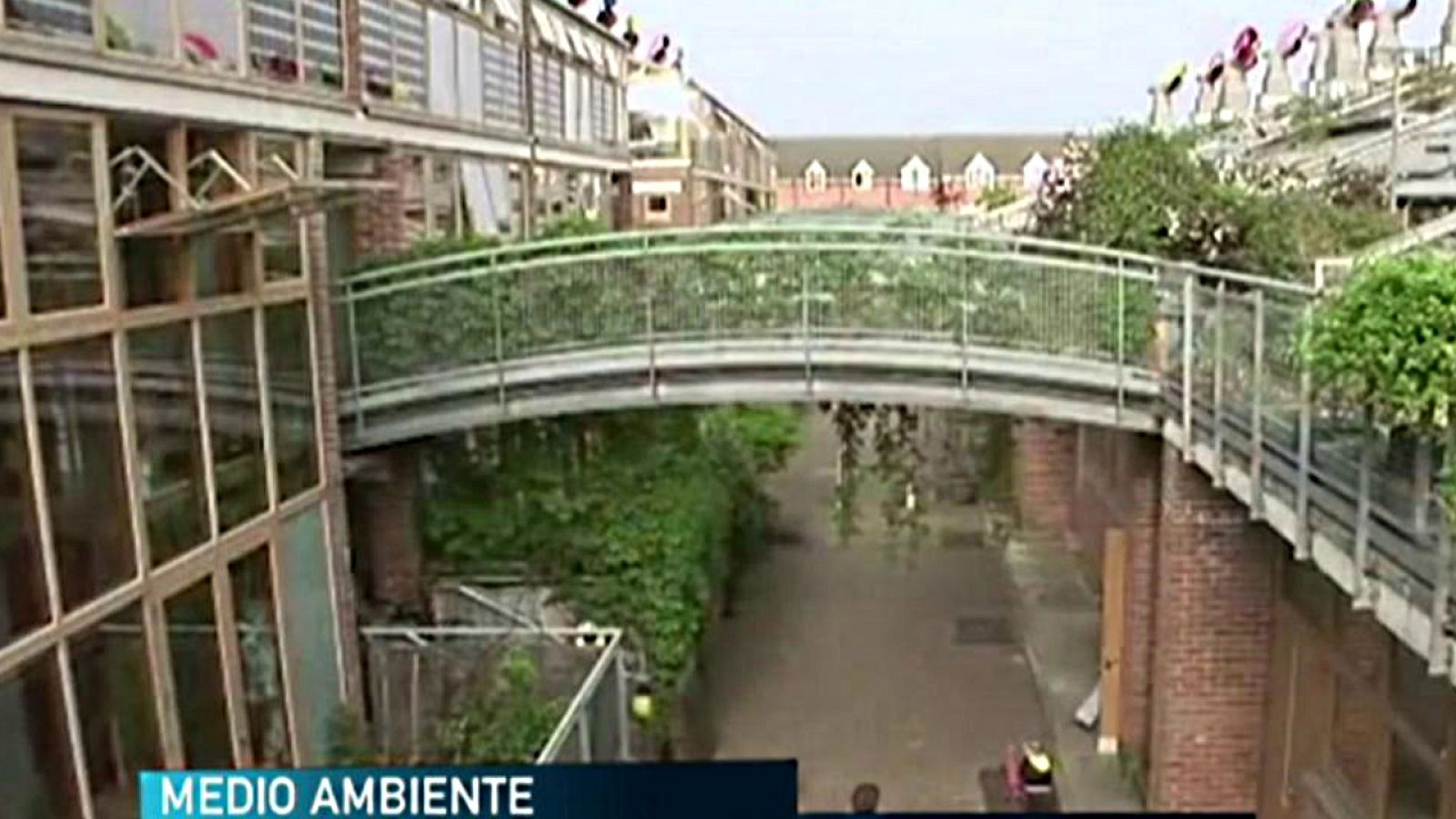 Para todos La 2 - 16/11/19 - ver ahora