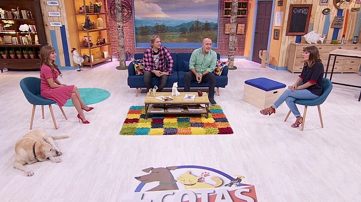 +Cotas - Programa 20