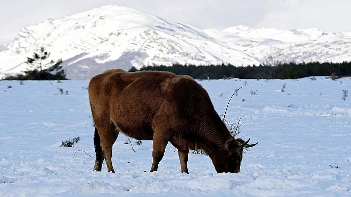 Telediario 1 - Telediario - 21 horas - 17/11/19
