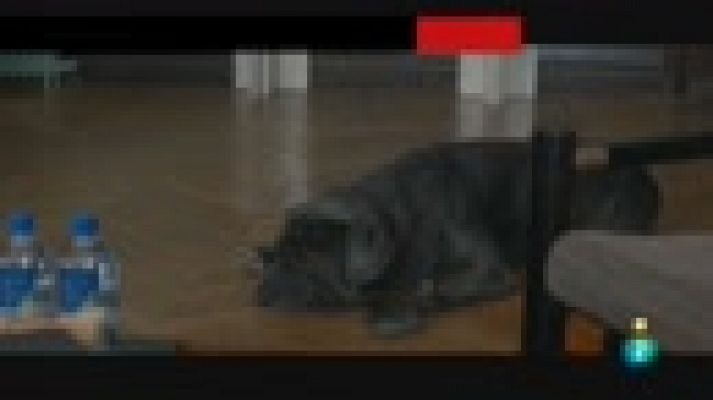 Días de cine - 'Los buenos principios'