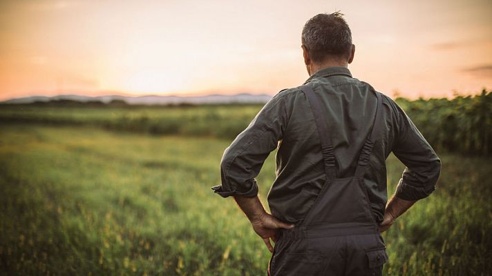 Los agricultores de Granada y Almería paran