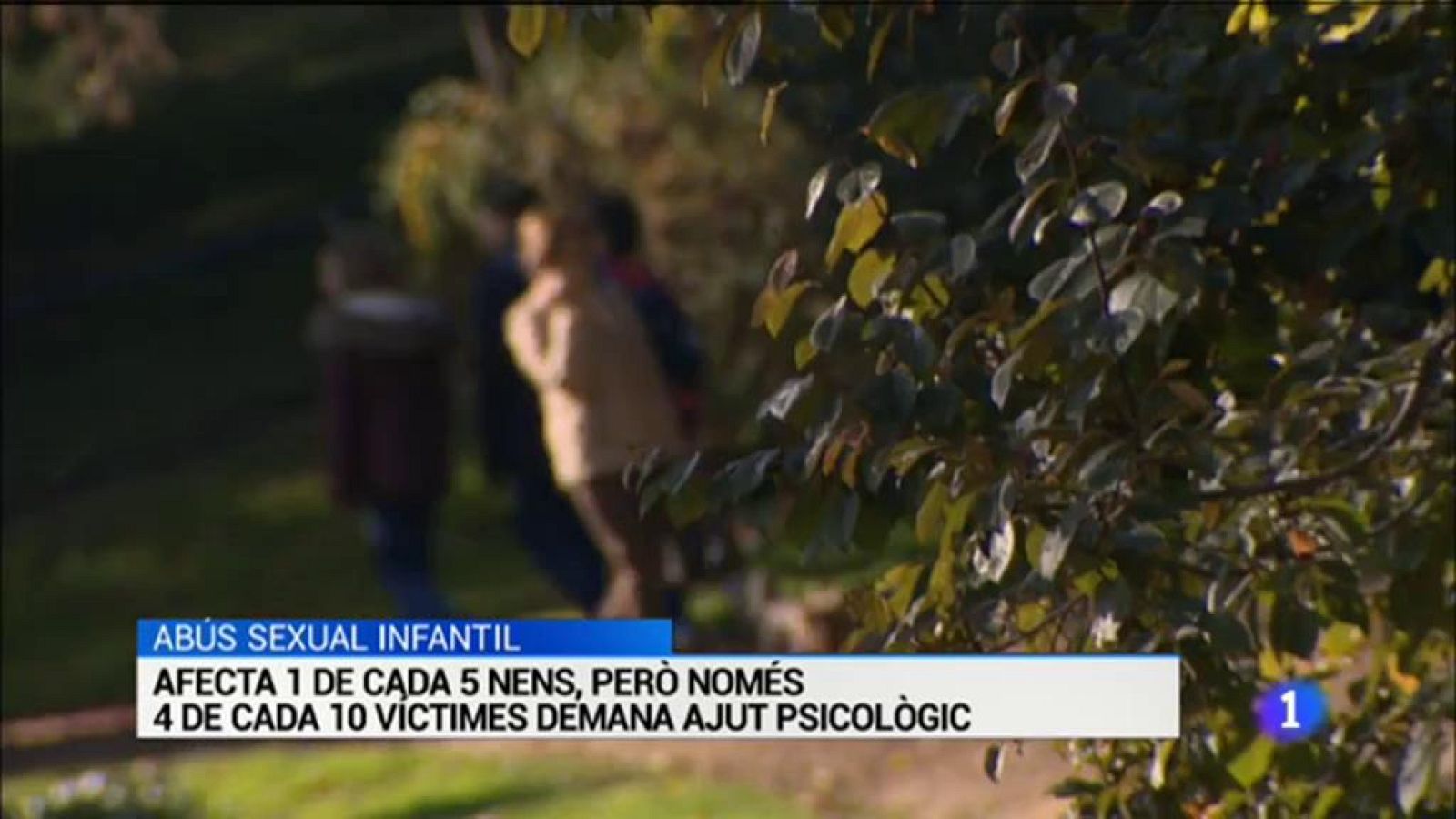 Amnistia Internacional demana la llibertat immediata dels Jordis. i més notícies d'actualitat a L'Informatiu