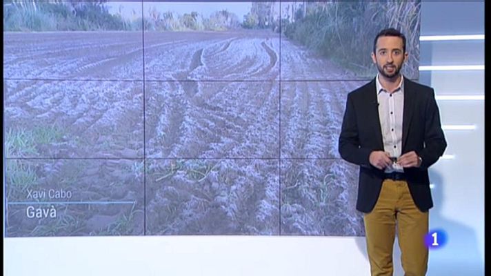 L'Informatiu - El Temps - 20/11/2019