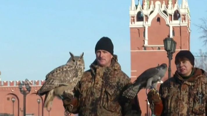 Los vigilantes alados del Kremlin