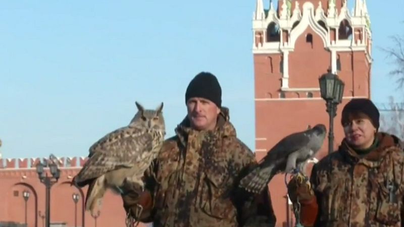 Los vigilantes alados del Kremlin | Ver