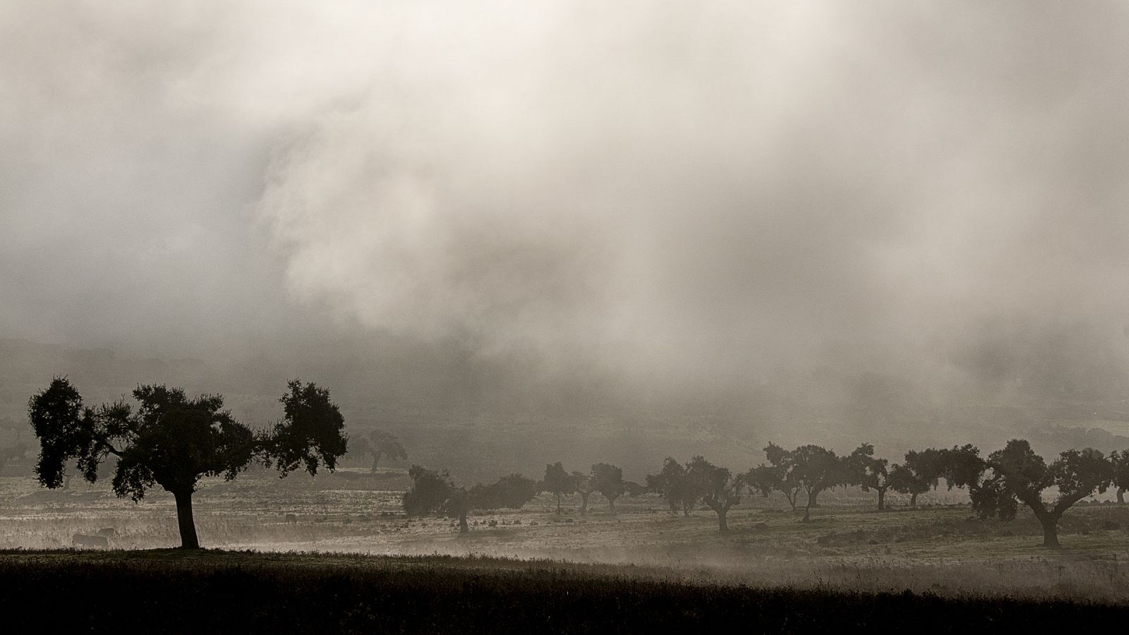 Precipitaciones localmente fuertes en el oeste de Galicia, de Extremadura y de Andalucía - ver ahora