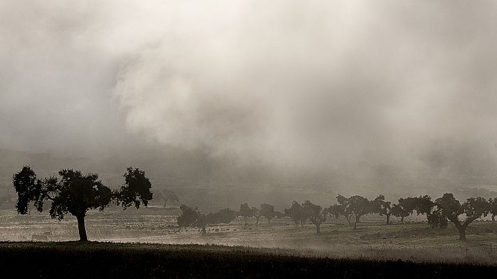 El tiempo - Precipitaciones localmente fuertes en el oeste de Galicia, de Extremadura y de Andalucía