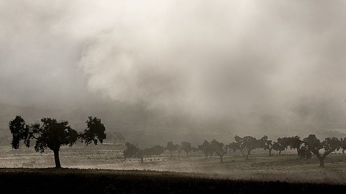 Precipitaciones localmente fuertes en el oeste de Galicia, de Extremadura y de Andalucía