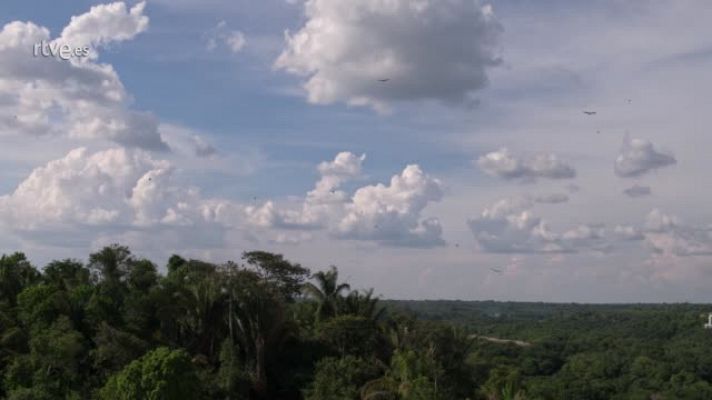 RTVE.es estrena el tráiler de 'Urubú': suspense en el Amazonas