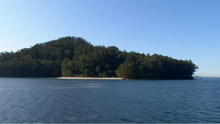 Destino saludable - Ría de Pontevedra