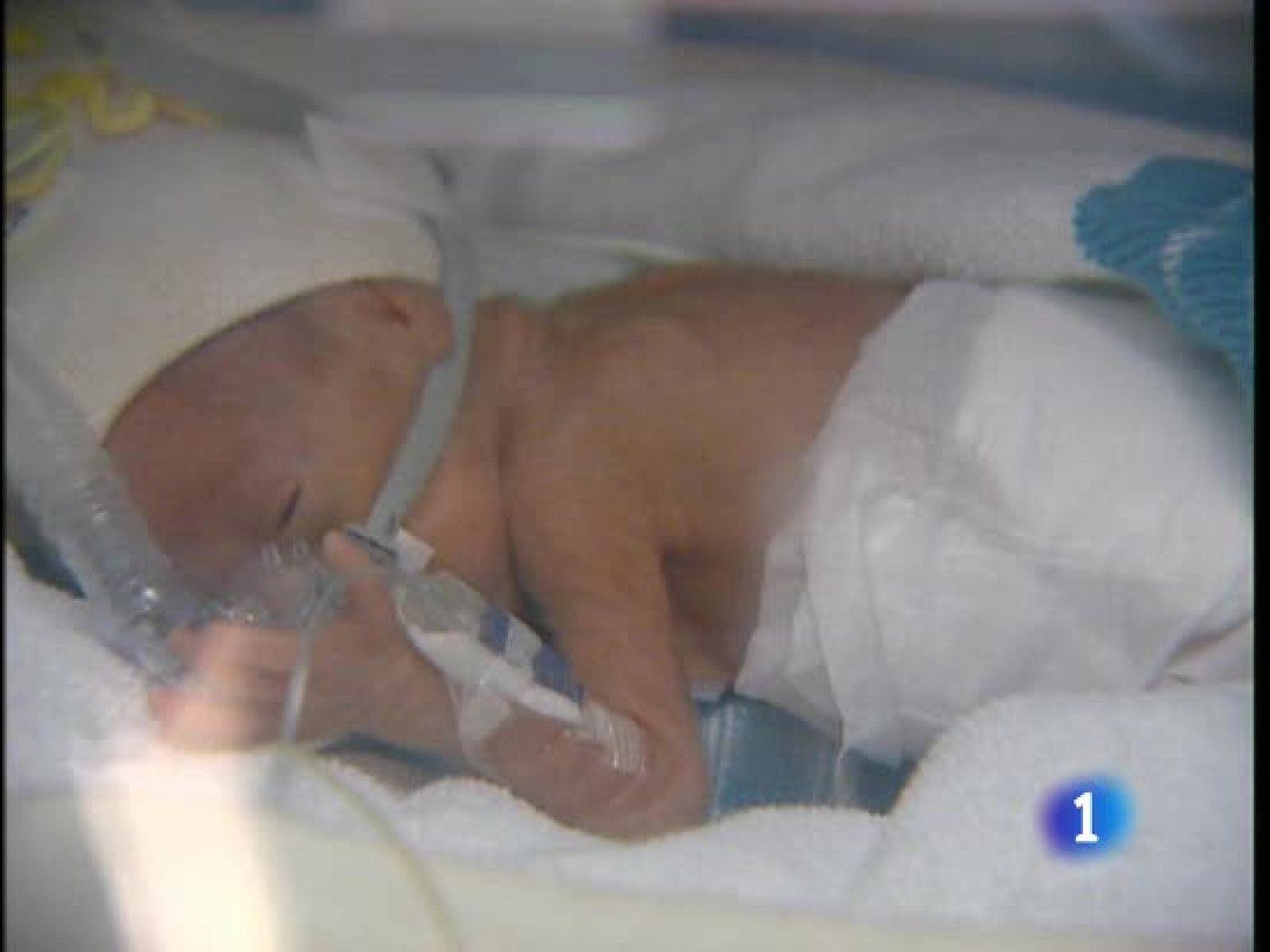 El actual estado de las incubadoras 