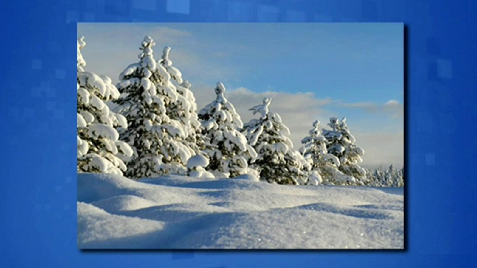 Saber y ganar - 22/11/19 - ver ahora